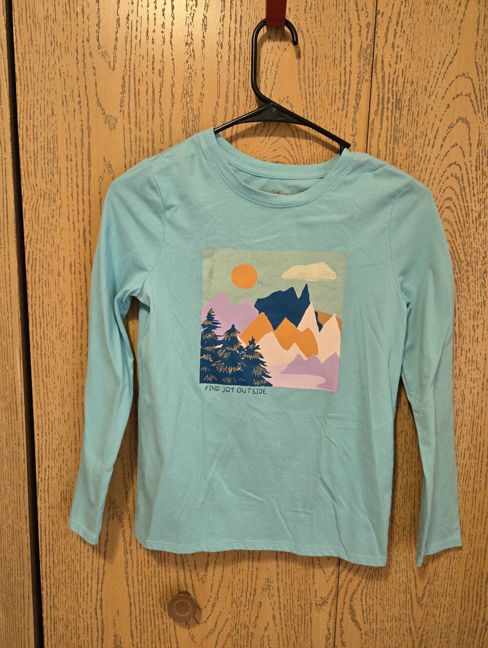 Cat & Jack Light Teal Long-Sleeve Graphic Tee with Mountain Print